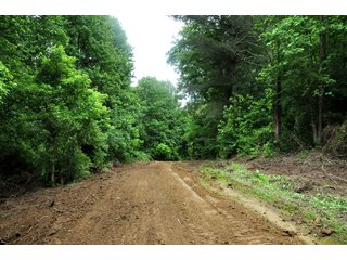Property photo 73 - LAND AUCTION - 1,050+/- ACRES OFFERED IN 21 TRACTS PLUS 450+/- ACRE HUNTING LEASE IN MUSKINGUM COUNTY, OHIO